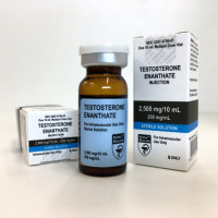 Testosterone Enanthate from Hilma Biocare